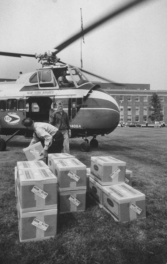 希尔曼研发的1957年流感疫苗用直升机赶着送往全美各地。 PHOTOGRAPH BY WALTER SANDERS， THE LIFE PICTURE COLL
