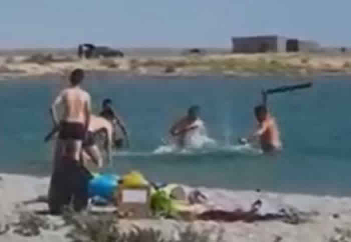 哈萨克斯坦城镇库里克游客到海边游玩 为让孩子拍照竟拿起棍棒与石头将海豹打昏