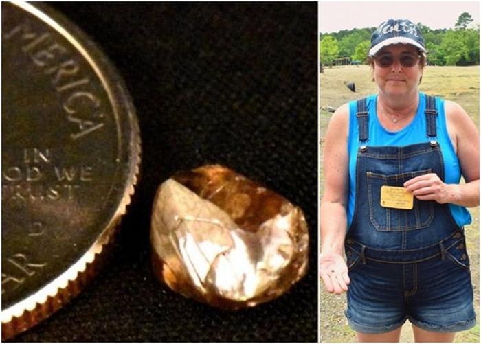 美国阿肯色州妇人到钻石坑州立公园淘宝发现2.23卡褐钻