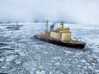 北冰洋初级生产量的增加是由浮游植物丰度增加而不是海冰流失所驱动的