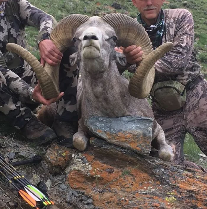 美国牙医帕尔默（Walter Palmer）赴蒙古猎杀濒危阿尔泰盘羊
