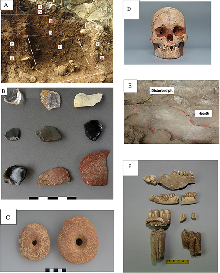 娅怀洞遗址出土人类化石和文化遗存（研究团队供图）
