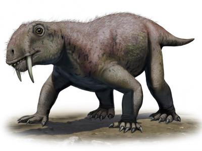 化石研究显示并非所有的剑齿动物都是掠食者 巨大犬齿也具有求偶作用
