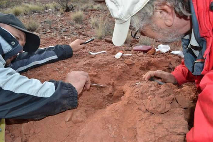 阿根廷古生物学家在阿根廷西北部的圣胡安省巴尔德·德雷耶斯附近挖掘三叠纪的化石。