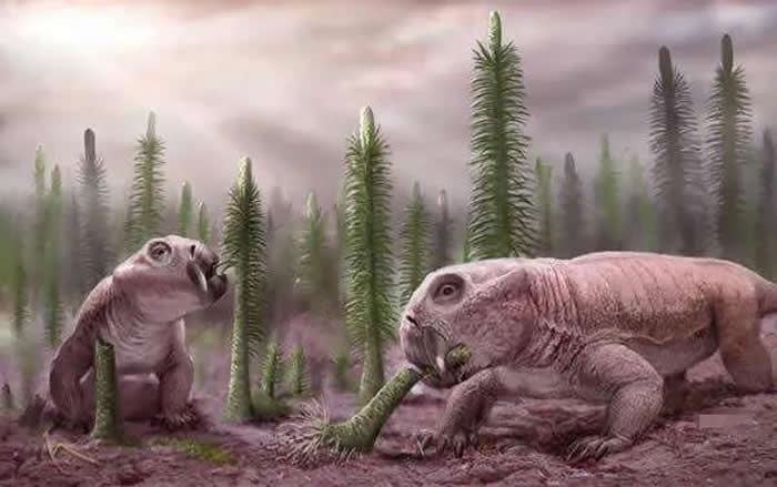 阳泉二叠纪晚期地层发现的二齿兽类化石命名为为白氏桃河兽
