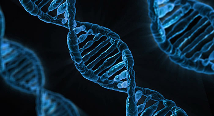 人类DNA中检测出以前从未有过的人类祖先痕迹
