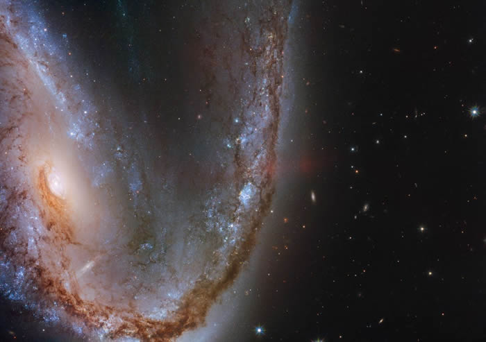 飞鱼座南部肉钩星系NGC 2442/2443特写照片