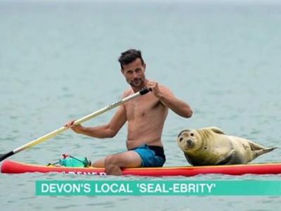 英国多塞特郡热爱玩直立板的男子在韦茅斯港出海玩乐时遭海豹强搭“顺风船”