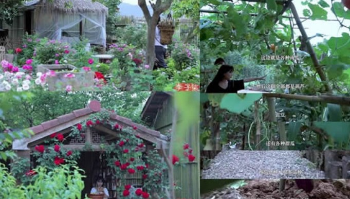 李子柒家的院子全景图 这才是镜头背后的真实农家