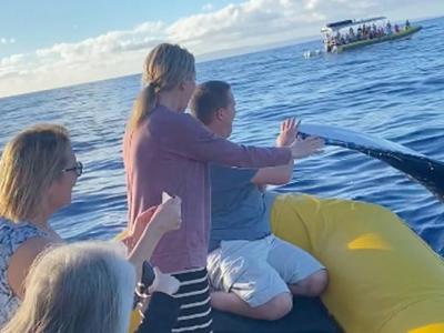 美国夏威夷参与观鲸活动的男子幸运获12米长座头鲸击掌问好