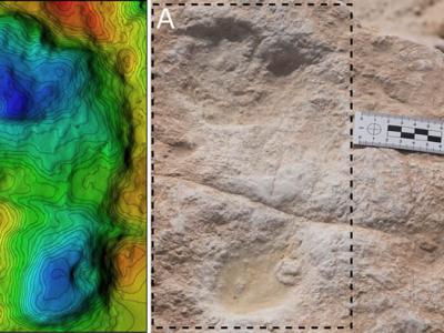 12万年前足迹化石提供了早期人类在阿拉伯半岛居住的证据