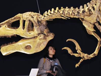 世界上最完整的霸王龙骨架在佳士得拍卖行以创纪录的超过3180万美元价格被拍卖