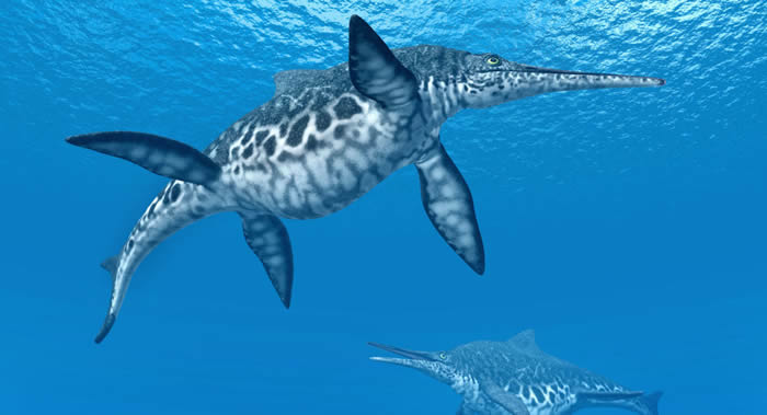 2.4亿年鱼龙遗骸胃中发现还未消化的阿斯克海龙骨头