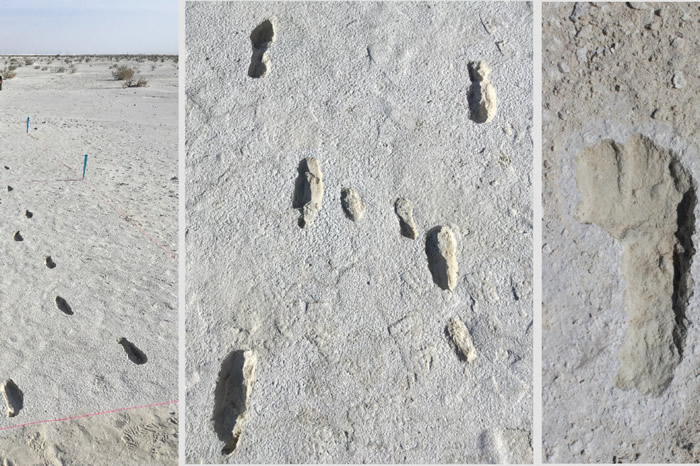 美国新墨西哥州白沙国家公园干涸古湖床上发现已知最长人类足迹化石 绵延1.5公里