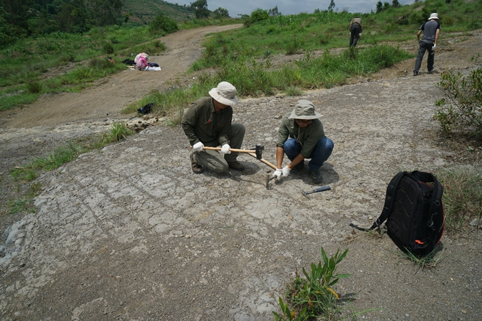 南京古生物所泥盆系工作团队成员在云南盘溪地区采集化石样品现场工作图