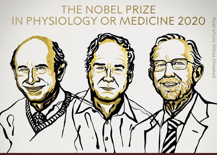 阿尔特、霍顿、莱斯（左起）共同夺得今届医学奖。
