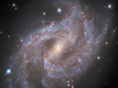 船尾座NGC 2525螺旋星系超新星“SN 2018gv”缩时影像 比太阳耀眼50亿倍