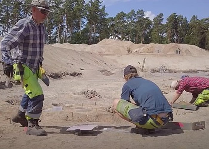 瑞典南部瑟尔沃斯堡石器时代遗址墓葬中发现一只有逾8400年历史的犬只遗骨