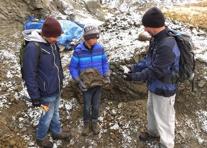 加拿大12岁男童在艾伯塔省登山期间发现6900万年前的鸭嘴龙化石