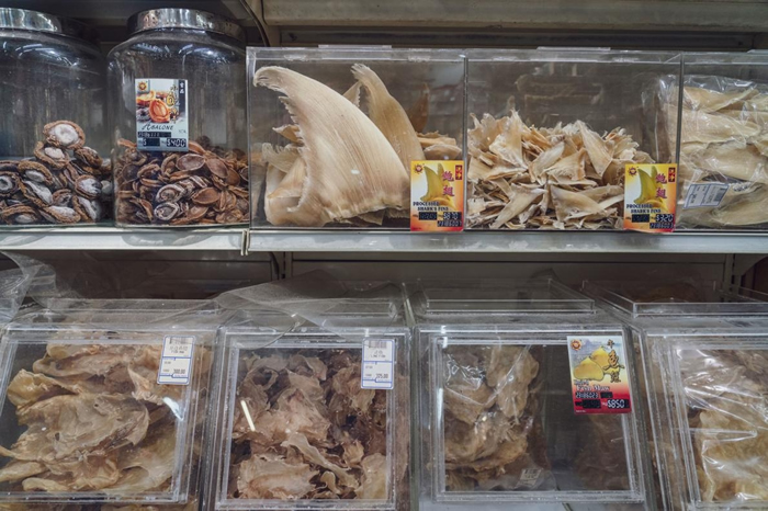 干鱼翅会在新加坡分级以便出售，当地是鱼翅交易的中心。