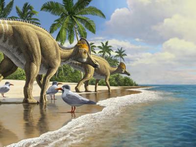 发现非洲第一块鸭嘴龙化石 或证实恐龙也曾漂洋过海