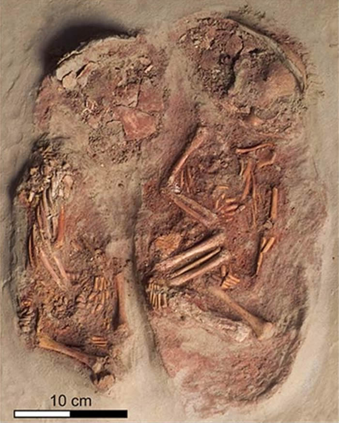 《自然》杂志官网：奥地利发现一对生活在大约3万年前的人类双胞胎婴儿遗骸
