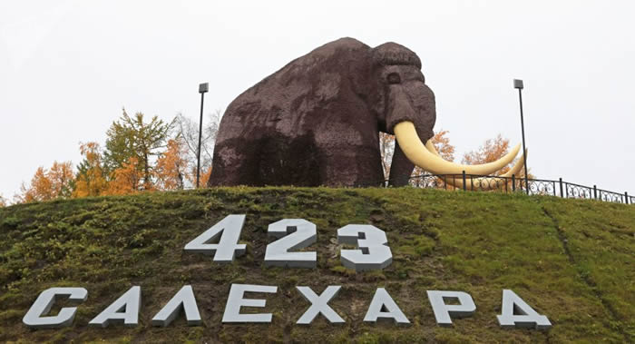 俄罗斯雅库茨克市两位居民企图将价值81.8万美元的猛犸象牙运往境外