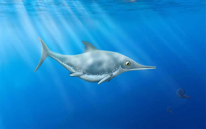 英国多塞特郡英吉利海峡的侏罗纪晚期深海沉积物中发现新的海龙Thalassodraco etchesi