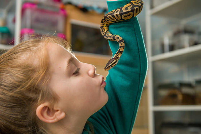 英国8岁女童格林哈尔希Hollie Greenhalgh将卧室打造成迷你动物园