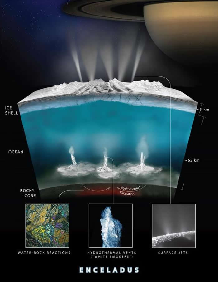 土卫二上的冰下海洋可能含有多种化学物质 或可孕育微生物群落