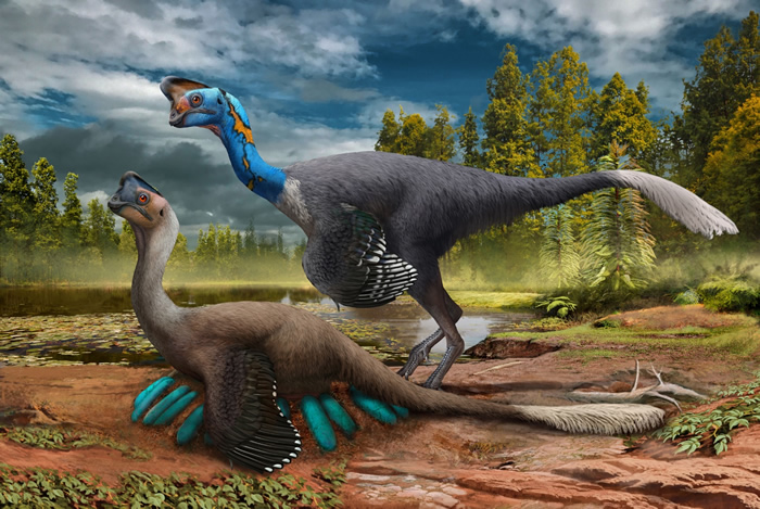 江西赣州晚白垩世地层中正孵卵的窃蛋龙化石与现代鸟类孵蛋姿态一致