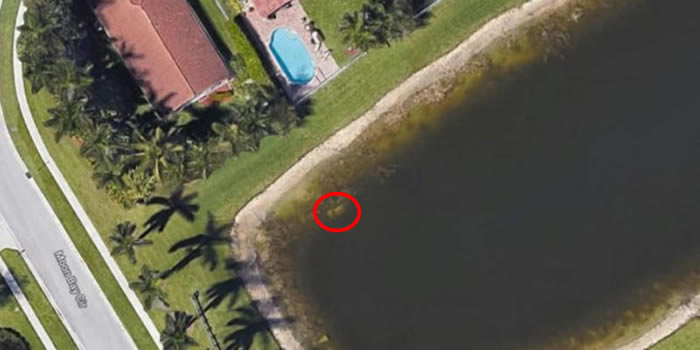 美国佛罗里达州男子离奇失踪22年 Google地图惊现湖底有辆轿车