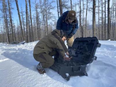 首次使用无人机远红外热成像系统在内蒙古大兴安岭林区采集到野生动物种群活动画面
