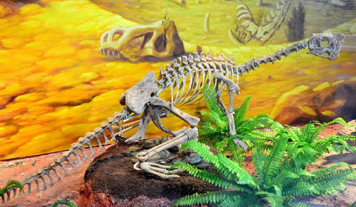 河源恐龙博物馆镇馆之宝“黄氏河源龙”模型全面完工并对外展出