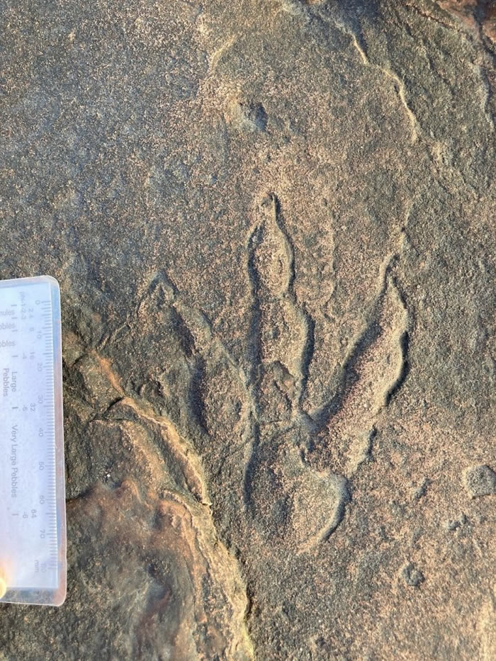 英国威尔士四岁小女孩在海滩发现近十年来最完好的恐龙脚印化石