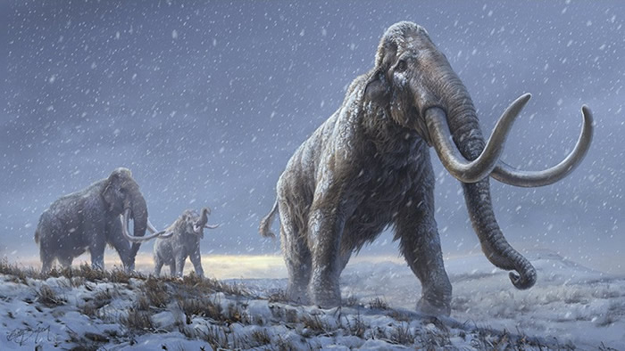 《自然》杂志：从超过100万年的猛犸象标本中检索到DNA