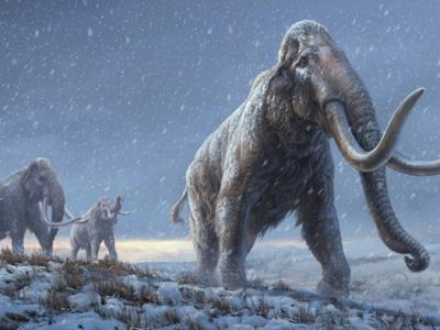 西伯利亚发现的百万年前猛玛象牙齿中取出世界上最古老的DNA