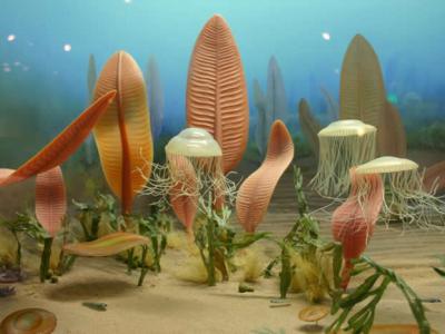 研究表明我们惊人地类似于地球上的第一批动物：人类与5.5亿年前古代海洋生物共享基因
