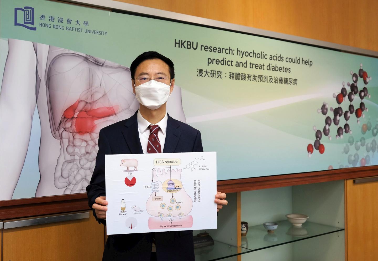 香港浸会大学领导的研究显示猪胆酸能预测及治疗糖尿病
