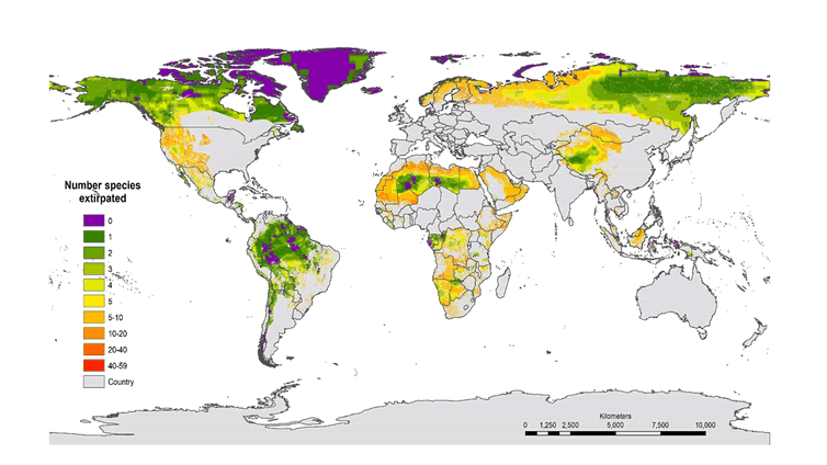 地球上只有3%的土地具有“生态系统完整性” 人类已经破坏了97%的土地