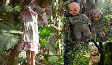 娃娃岛怎么回事?为何会有这么多的鬼娃娃遍布于岛上?