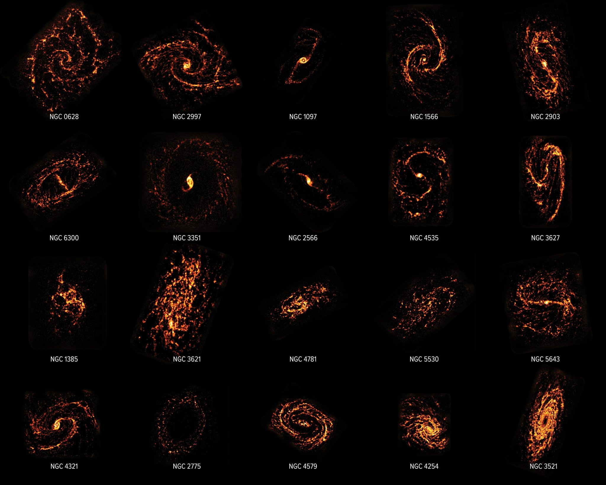 绘制了90多个附近星系中的10万多个“恒星托儿所”图表为恒星起源提供新见解