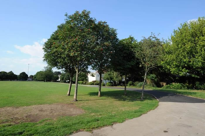 英国伦敦西部一名妇人在郊区公园散步时遭近百只老鼠疯狂啃咬