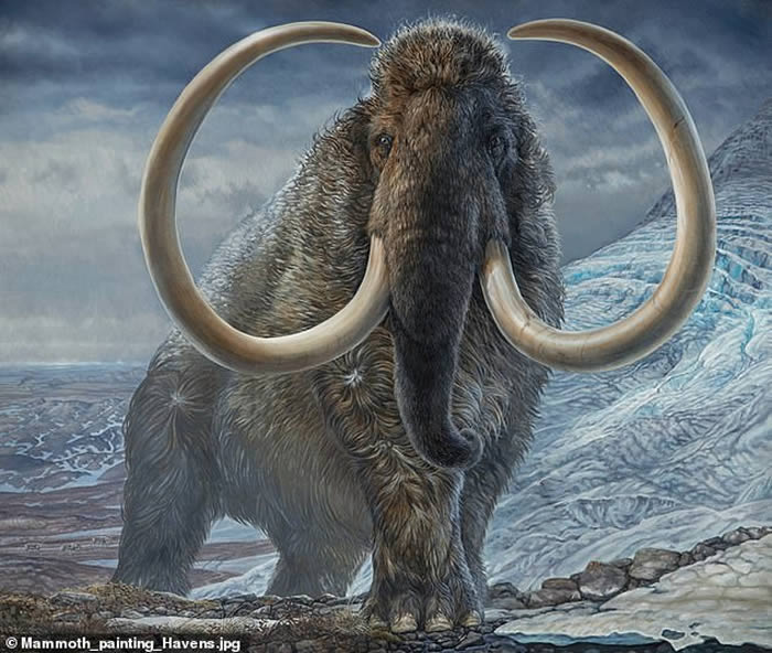 利用象牙内的同位素重建生活在1.7万年前北极猛犸象的生活史