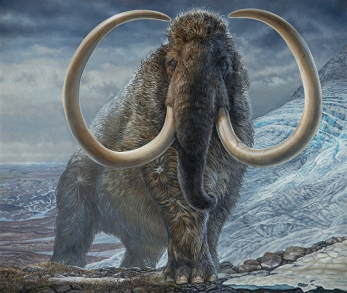 17100年前，一头雄性猛犸象在阿拉斯加行走。 图片来源：阿拉斯加大学北方博物馆/James Havens