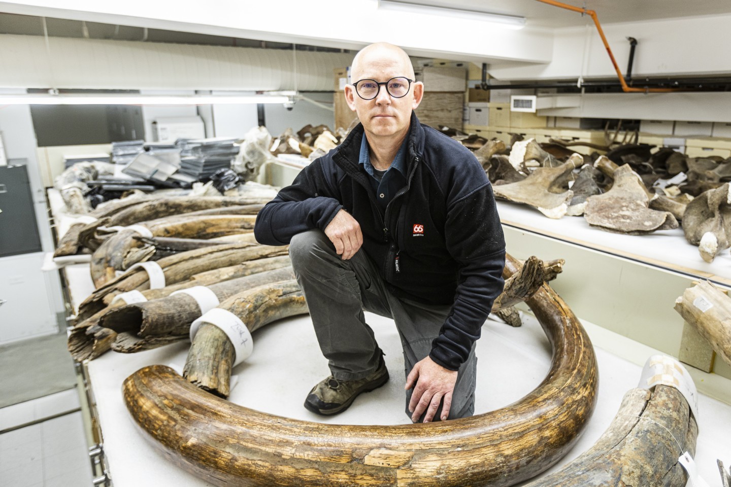 科学家追踪一头生活在17000多年前的猛犸象的整个生命轨迹