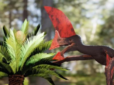 巴西警察查获保存最好的史前飞行爬行动物化石：生活白垩纪早期的无齿翼龙