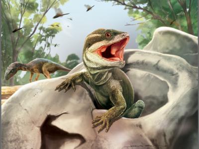 阿根廷三叠纪地层的头骨化石揭示鳞龙类爬行动物类群的起源和崛起