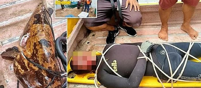 菲律宾渔夫钓到5公斤重石斑鱼 反被拖入湖中溺死