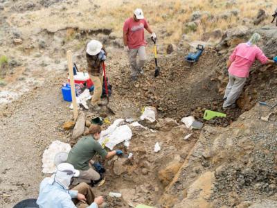 美国蒙大拿州的地层化石新发现几乎完整记录恐龙时代末期的场景